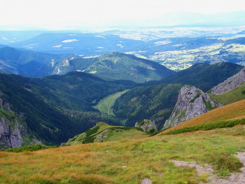 Dolina Małej Łąki widziana z okolic Kondrackiej Przełęczy