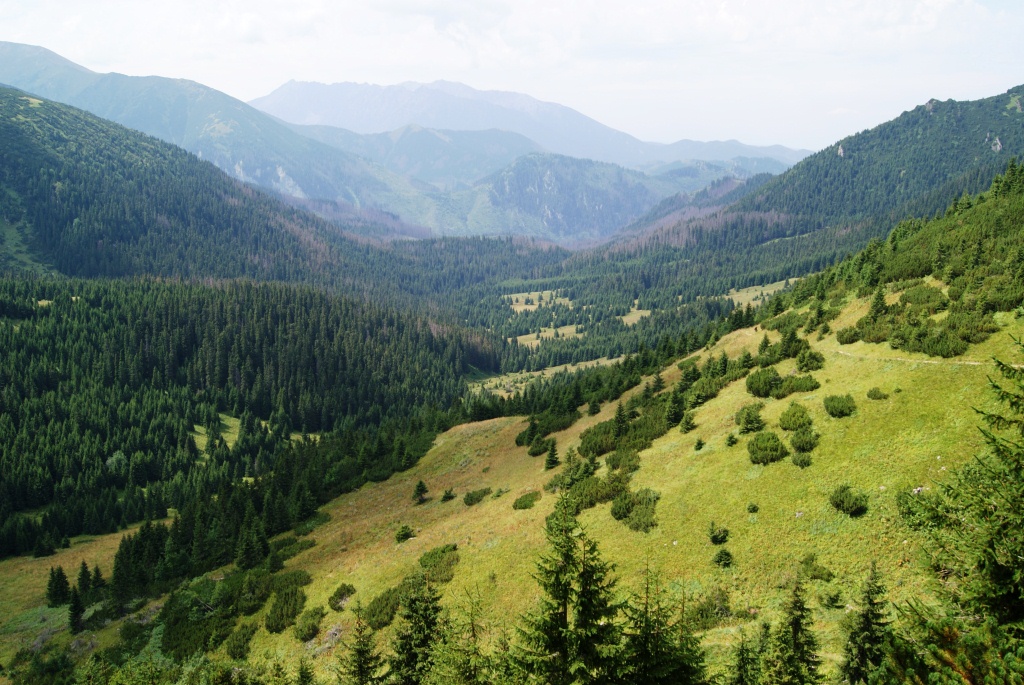 Dolina Zadnich Koperszadów w Tatrach Bielskich