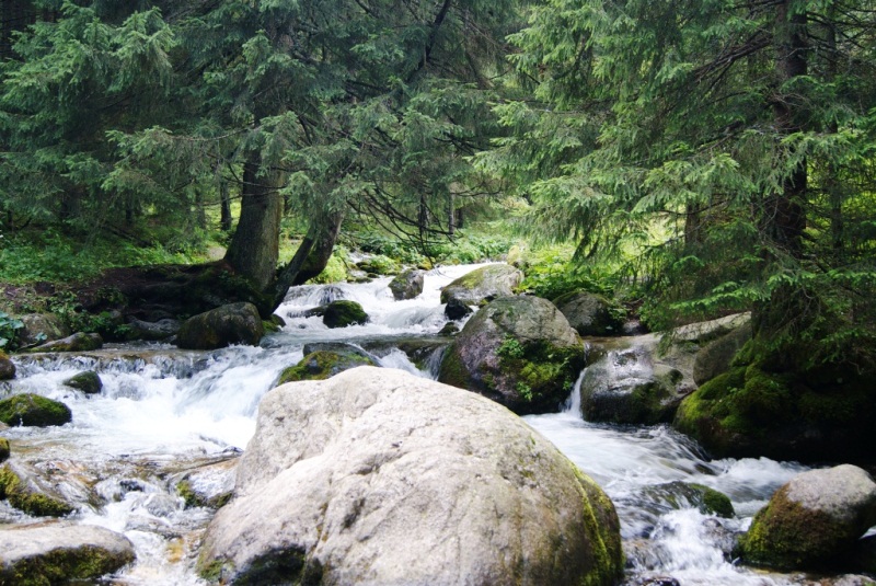 Potok Olczyski