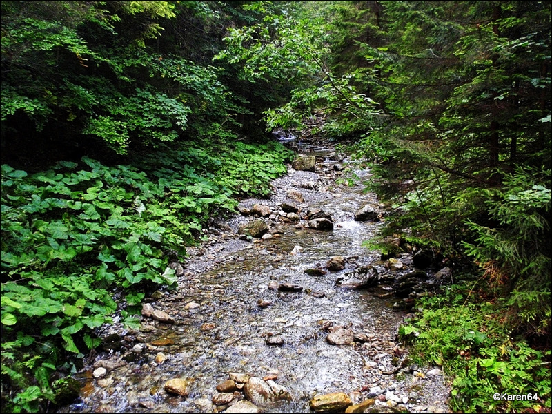 Potok Strążyski w Dolinie Strążyskiej w Tatrach Zachodnich