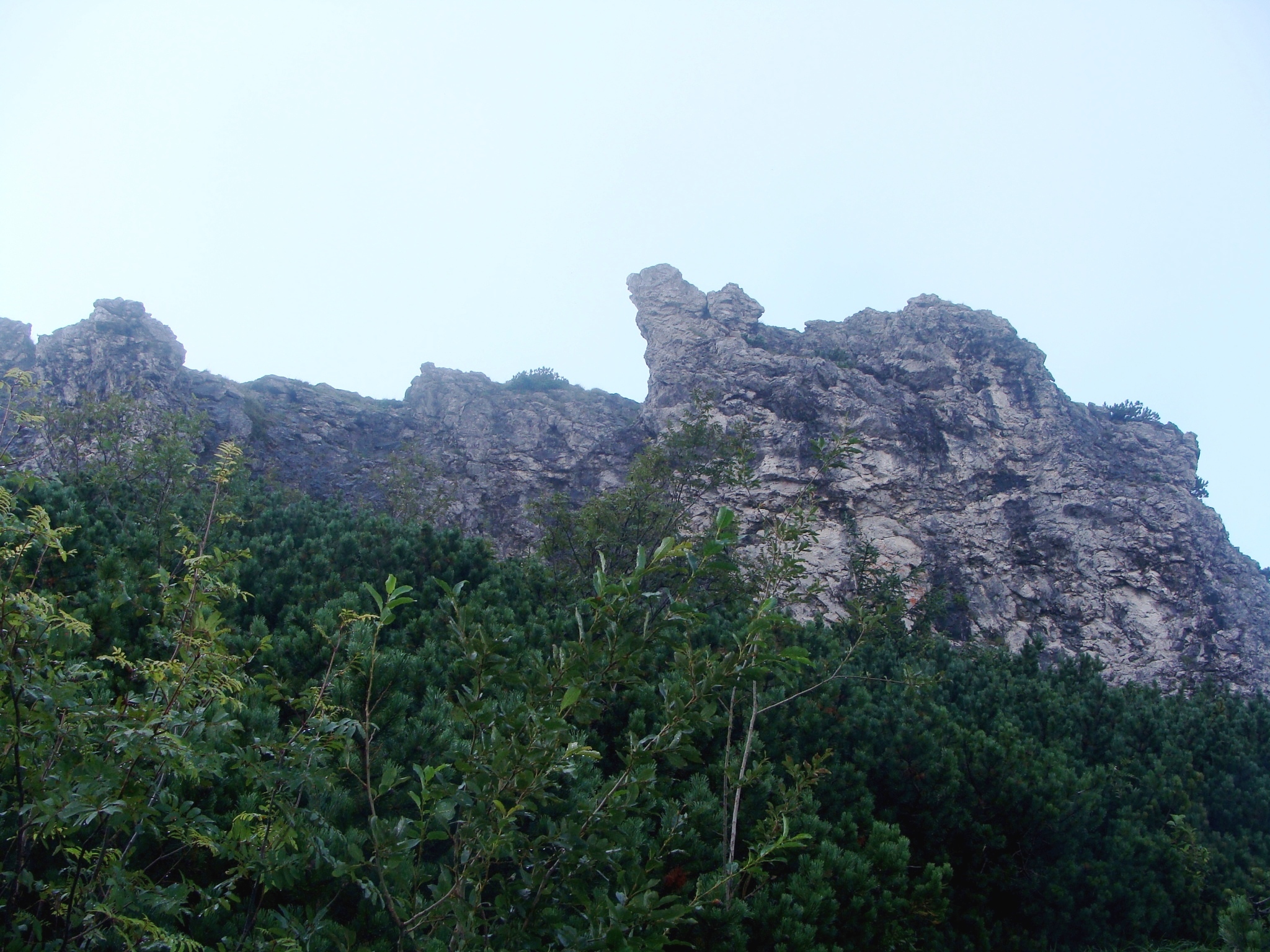 Sarnia Skała - widok z Doliny Białego Potoka