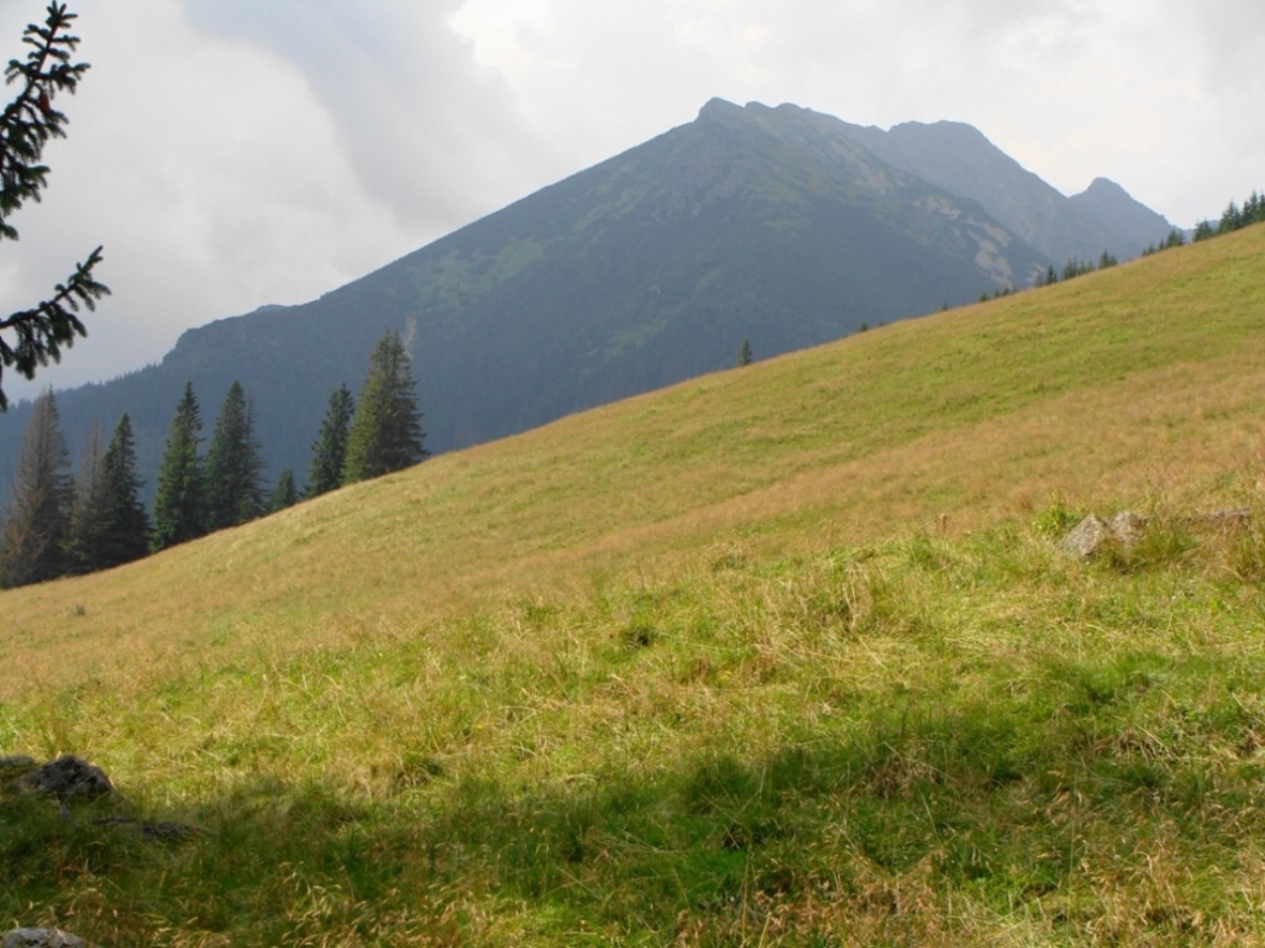 Wołoszyn(2155m.n.p.m.)z Rusinowej Polany